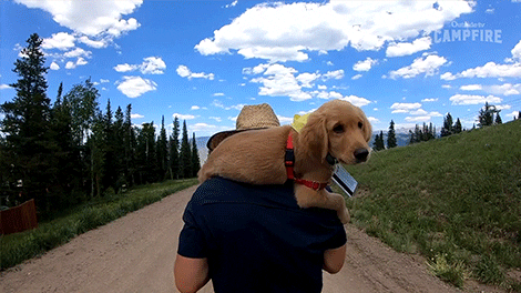Animación sobre salir a caminar y vivir el presente