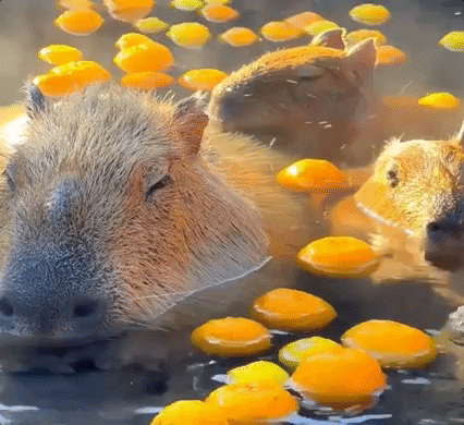 Animación de cierre deseando un buen fin de semana